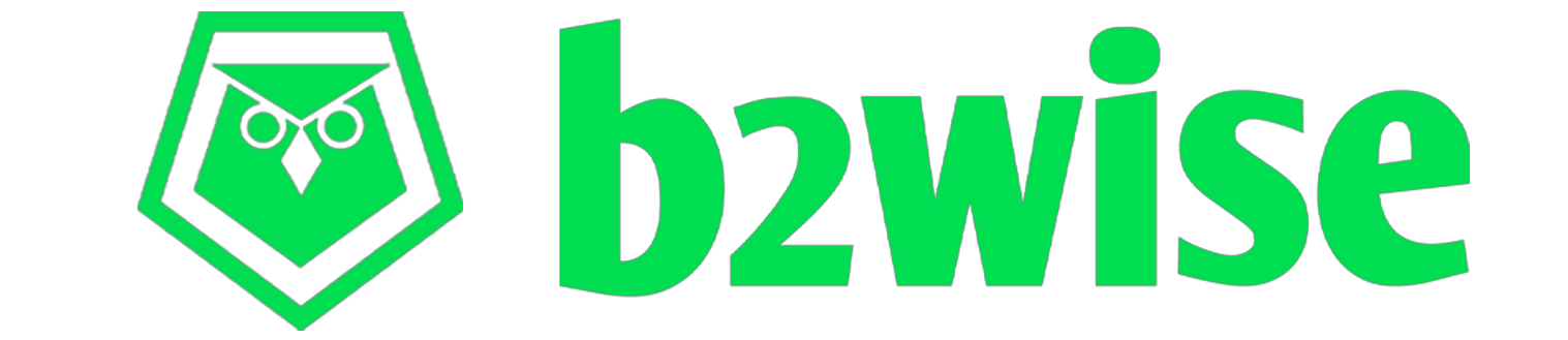 b2wise Logo